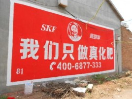 蓝山刷墙广告”蕴含了时代命题