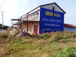 蓝山必须知道的墙体广告形势