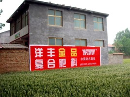 蓝山如何让墙体广告展现最大化效果