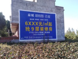 蓝山墙体广告的好处
