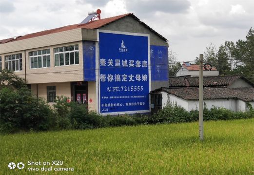 蓝山决定墙体广告价格的因素有哪些?